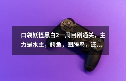 口袋妖怪黑白2一周目刚通关，主力是水主，鳄鱼，图腾鸟，还有路卡，二周目应该用哪些宠打更轻松-第1张-游戏信息-龙启网