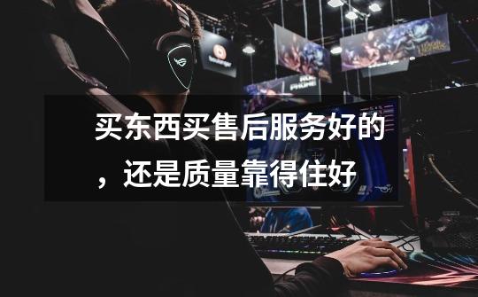 买东西买售后服务好的,还是质量靠得住好-第1张-游戏信息-龙启网