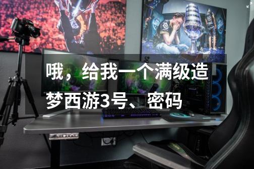 哦，给我一个满级造梦西游3号、密码-第1张-游戏信息-龙启网