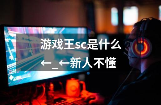 游戏王sc是什么←_←新人不懂-第1张-游戏信息-龙启网