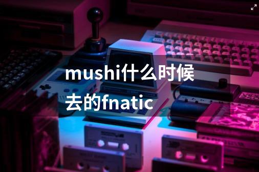 mushi什么时候去的fnatic-第1张-游戏信息-龙启网