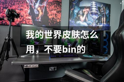 我的世界皮肤怎么用，不要bin的-第1张-游戏信息-龙启网