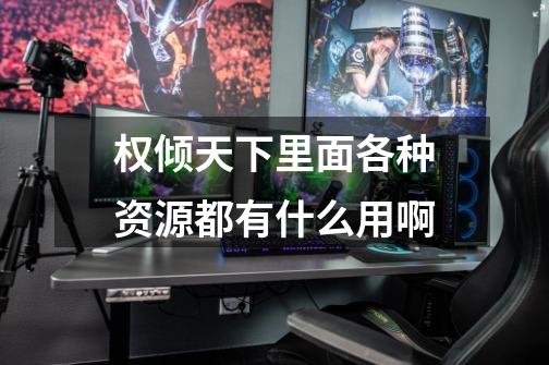 权倾天下里面各种资源都有什么用啊-第1张-游戏信息-龙启网