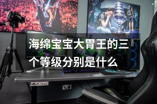 海绵宝宝大胃王的三个等级分别是什么-第1张-游戏信息-龙启网