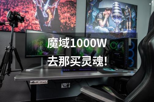 魔域1000W去那买灵魂!-第1张-游戏信息-龙启网