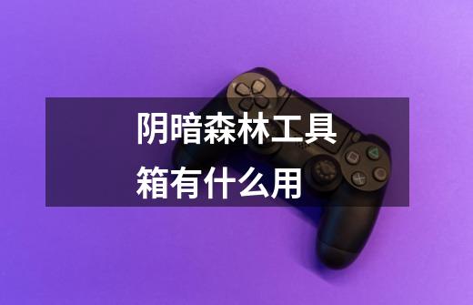 阴暗森林工具箱有什么用-第1张-游戏信息-龙启网