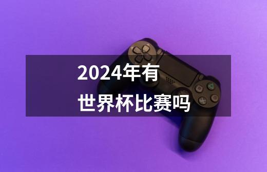 2024年有世界杯比赛吗-第1张-游戏信息-龙启网