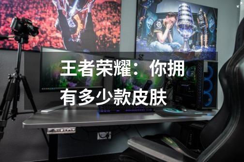 王者荣耀:你拥有多少款皮肤-第1张-游戏信息-龙启网