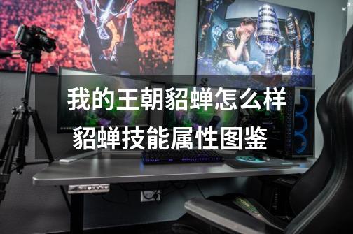 我的王朝貂蝉怎么样 貂蝉技能属性图鉴-第1张-游戏信息-龙启网