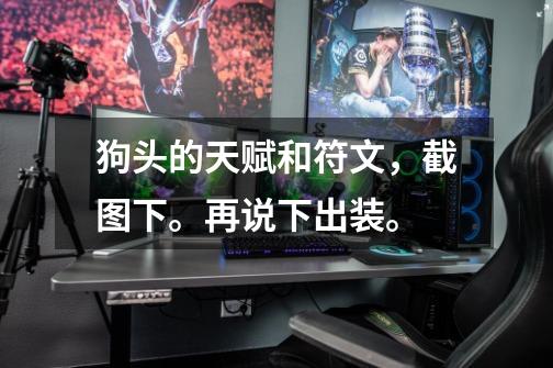 狗头的天赋和符文，截图下。再说下出装。-第1张-游戏信息-龙启网