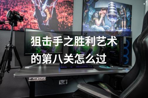 狙击手之胜利艺术的第八关怎么过-第1张-游戏信息-龙启网