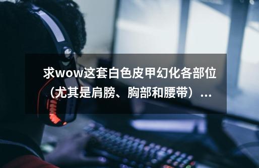 求wow这套白色皮甲幻化各部位(尤其是肩膀、胸部和腰带)详细出处!-第1张-游戏信息-龙启网