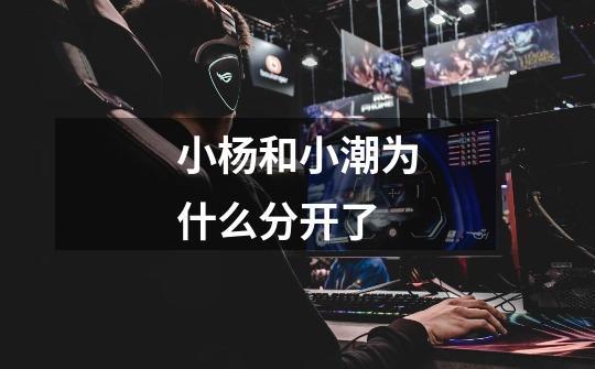 小杨和小潮为什么分开了-第1张-游戏信息-龙启网