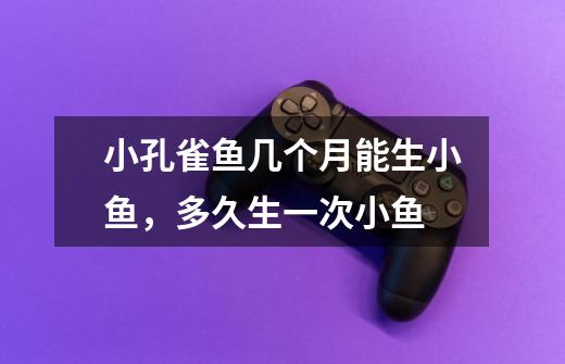 小孔雀鱼几个月能生小鱼,多久生一次小鱼-第1张-游戏信息-龙启网