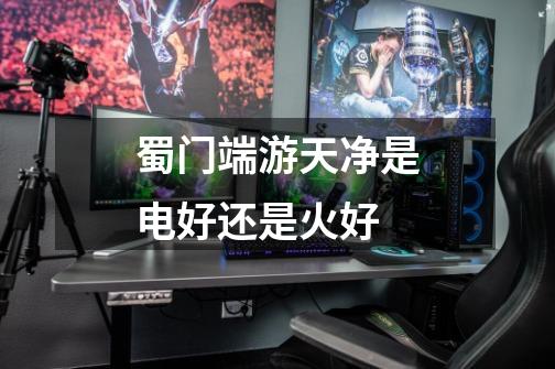 蜀门端游天净是电好还是火好-第1张-游戏信息-龙启网