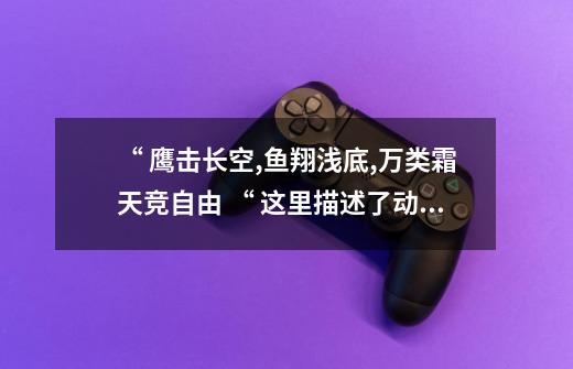 “ 鹰击长空,鱼翔浅底,万类霜天竞自由 “ 这里描述了动物的-第1张-游戏信息-龙启网