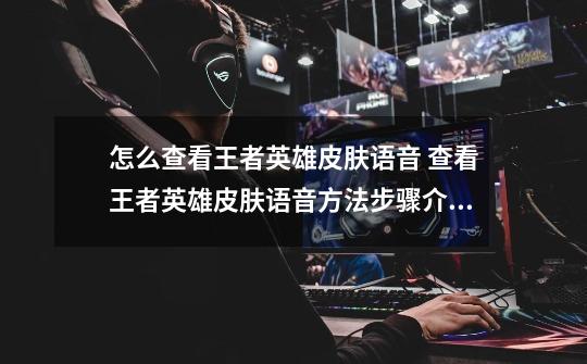 怎么查看王者英雄皮肤语音 查看王者英雄皮肤语音方法步骤介绍-第1张-游戏信息-龙启网