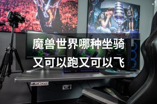 魔兽世界哪种坐骑又可以跑又可以飞-第1张-游戏信息-龙启网