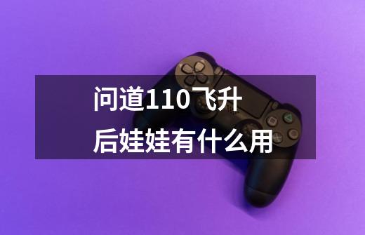 问道110飞升后娃娃有什么用-第1张-游戏信息-龙启网