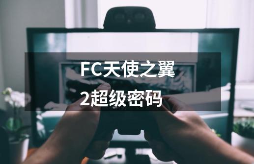 FC天使之翼2超级密码-第1张-游戏信息-龙启网