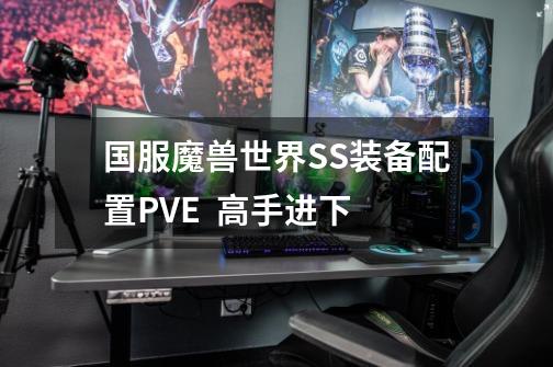 国服魔兽世界SS装备配置PVE 高手进下-第1张-游戏信息-龙启网