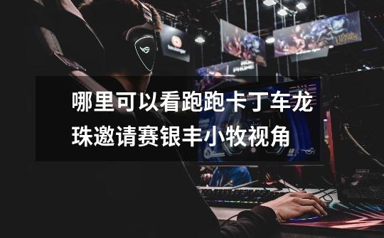 哪里可以看跑跑卡丁车龙珠邀请赛银丰小牧视角-第1张-游戏信息-龙启网