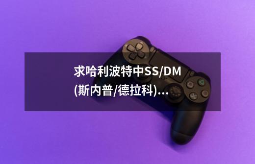 求哈利波特中SS/DM(斯内普/德拉科)的BL文-第1张-游戏信息-龙启网