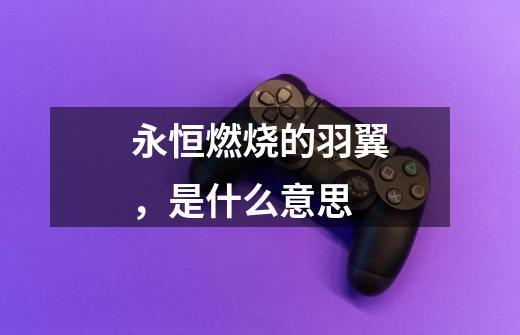 永恒燃烧的羽翼,是什么意思-第1张-游戏信息-龙启网