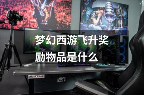 梦幻西游飞升奖励物品是什么-第1张-游戏信息-龙启网