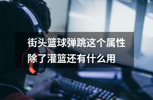 街头篮球弹跳这个属性除了灌篮还有什么用-第1张-游戏信息-龙启网