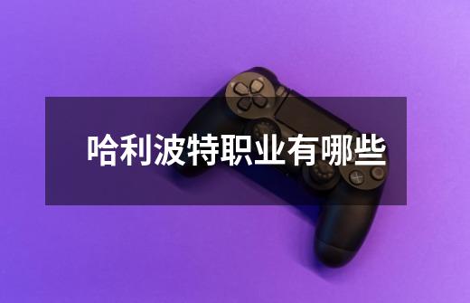 哈利波特职业有哪些-第1张-游戏信息-龙启网