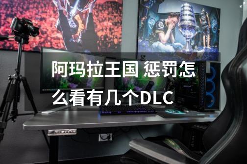 阿玛拉王国 惩罚怎么看有几个DLC-第1张-游戏信息-龙启网