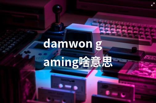 damwon gaming啥意思-第1张-游戏信息-龙启网