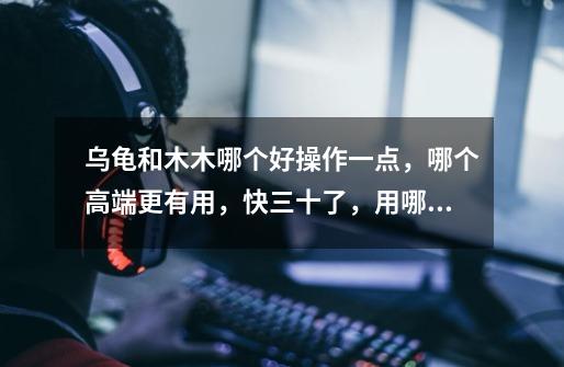 乌龟和木木哪个好操作一点,哪个高端更有用,快三十了,用哪个-第1张-游戏信息-龙启网