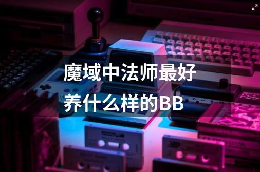 魔域中法师最好养什么样的BB-第1张-游戏信息-龙启网