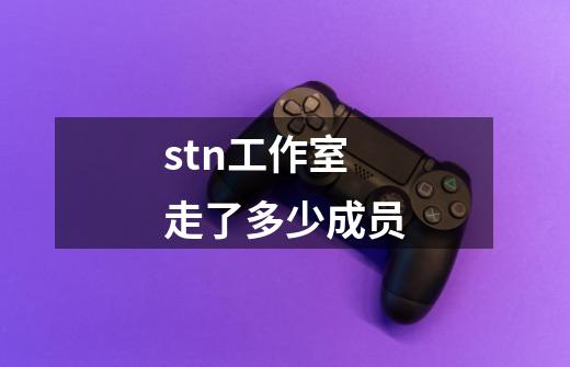 stn工作室走了多少成员-第1张-游戏信息-龙启网