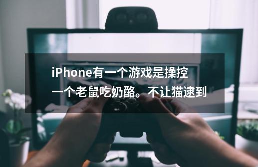 iPhone有一个游戏是操控一个老鼠吃奶酪。不让猫逮到-第1张-游戏信息-龙启网