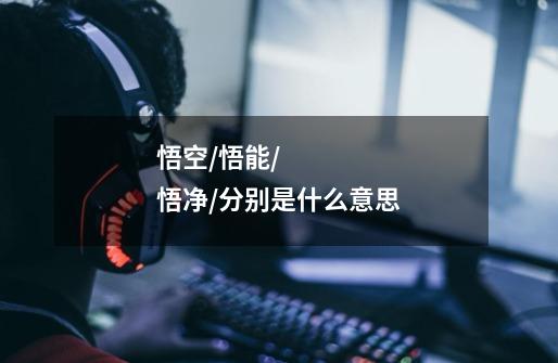 悟空/悟能/悟净/分别是什么意思-第1张-游戏信息-龙启网