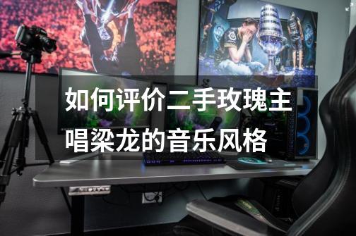 如何评价二手玫瑰主唱梁龙的音乐风格-第1张-游戏信息-龙启网