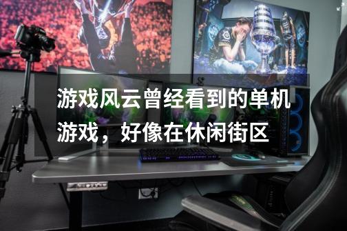 游戏风云曾经看到的单机游戏，好像在休闲街区-第1张-游戏信息-龙启网