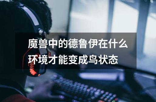 魔兽中的德鲁伊在什么环境才能变成鸟状态-第1张-游戏信息-龙启网
