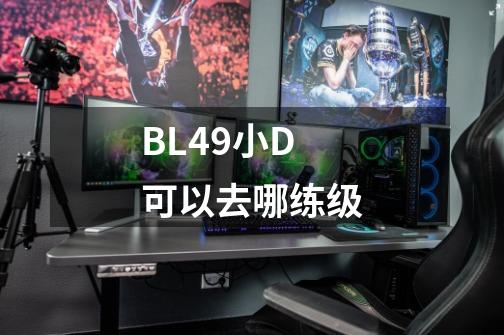 BL49小D可以去哪练级-第1张-游戏信息-龙启网