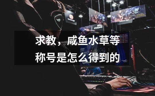求教,咸鱼.水草等称号是怎么得到的-第1张-游戏信息-龙启网