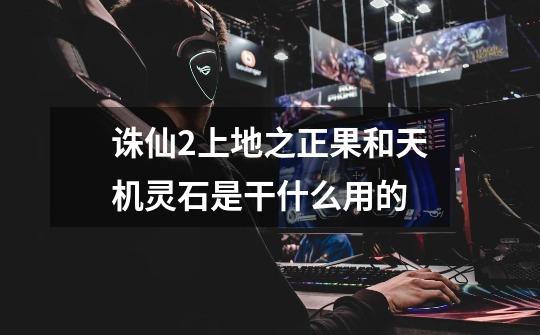 诛仙2上地之正果和天机灵石是干什么用的-第1张-游戏信息-龙启网