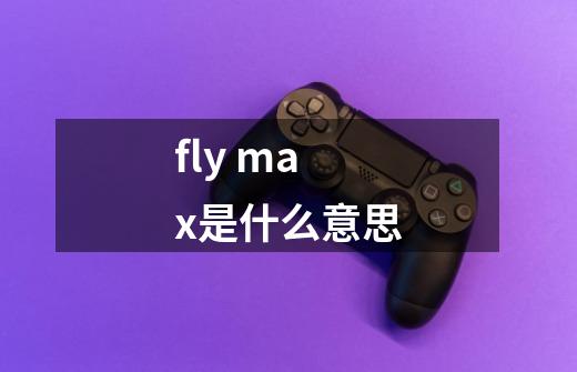 fly max是什么意思-第1张-游戏信息-龙启网