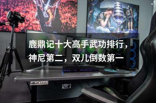 鹿鼎记十大高手武功排行,神尼第二,双儿倒数第一-第1张-游戏信息-龙启网
