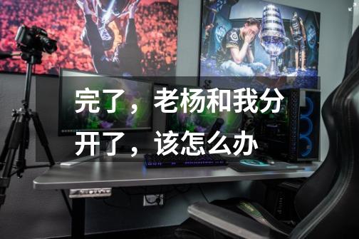 完了,老杨和我分开了,该怎么办-第1张-游戏信息-龙启网