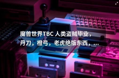 魔兽世界TBC 人类盗贼毕业,丹刀,橙弓,老虎绝版东西,大概可以卖多少钱!-第1张-游戏信息-龙启网