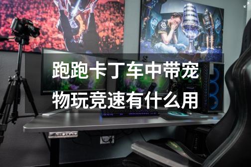 跑跑卡丁车中带宠物玩竞速有什么用-第1张-游戏信息-龙启网
