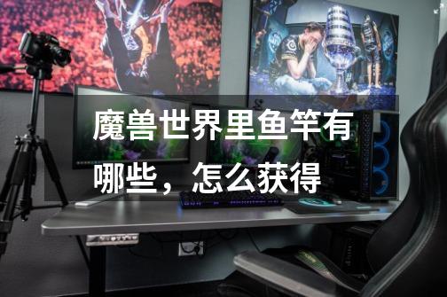 魔兽世界里鱼竿有哪些,怎么获得-第1张-游戏信息-龙启网